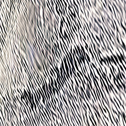 Glass Smashing Bandit – Blue Note